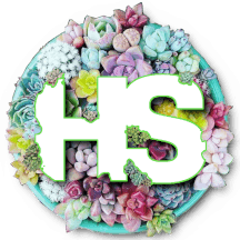 Hardy Succulents